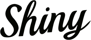Shiny Logo